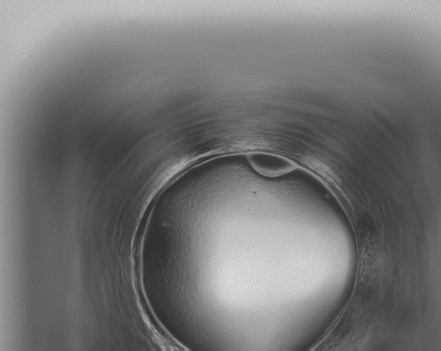 X0000059831047200510281752