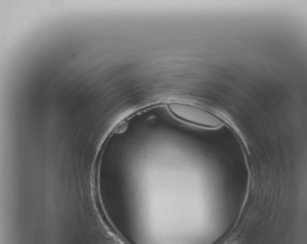 X0000059831048200510281752