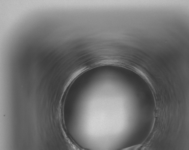 X0000059831050200510281752