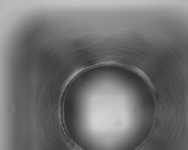 X0000059831051200510281752