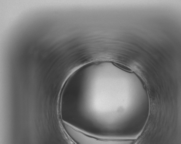 X0000059831052200510281752