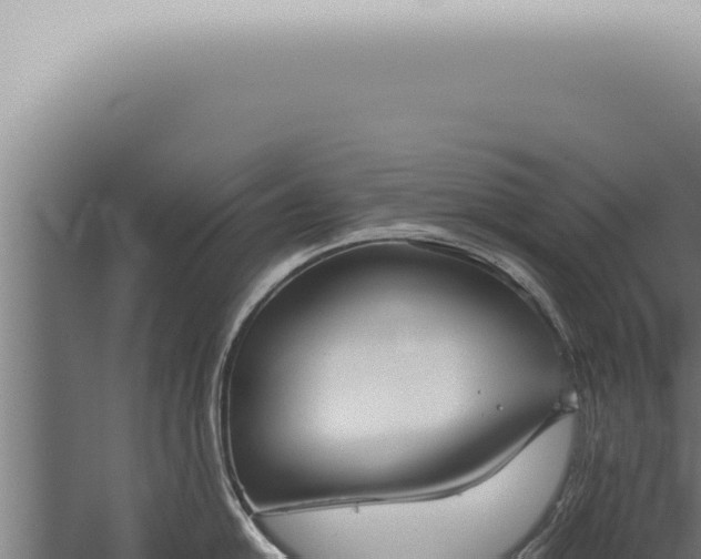 X0000059831054200510281753