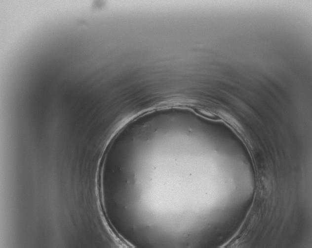 X0000059831055200510281753