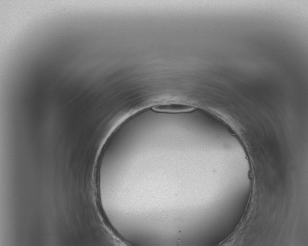 X0000059831056200510281753