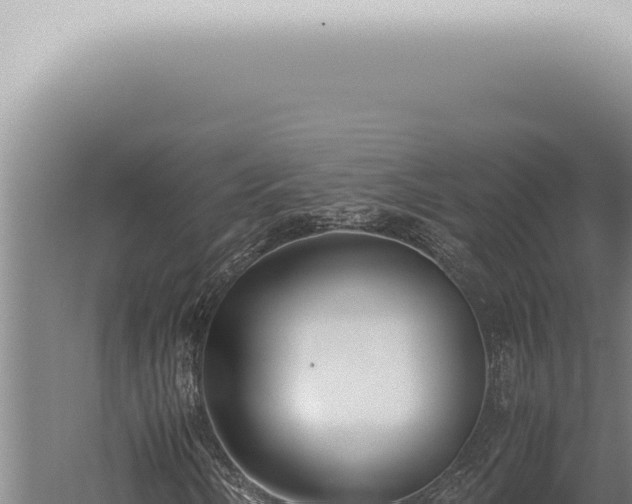 X0000059831058200510281752