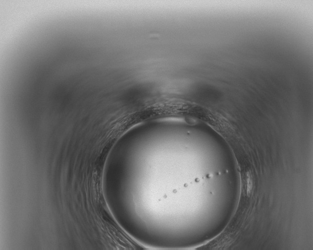 X0000059831059200510281752