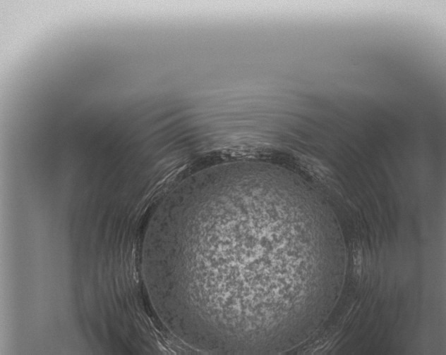 X0000059831060200510281752