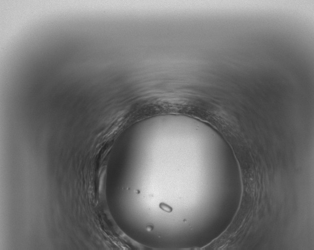 X0000059831061200510281752