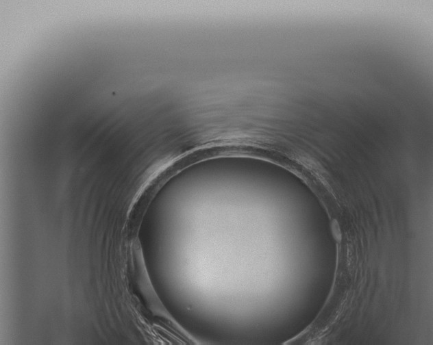 X0000059831069200510281752