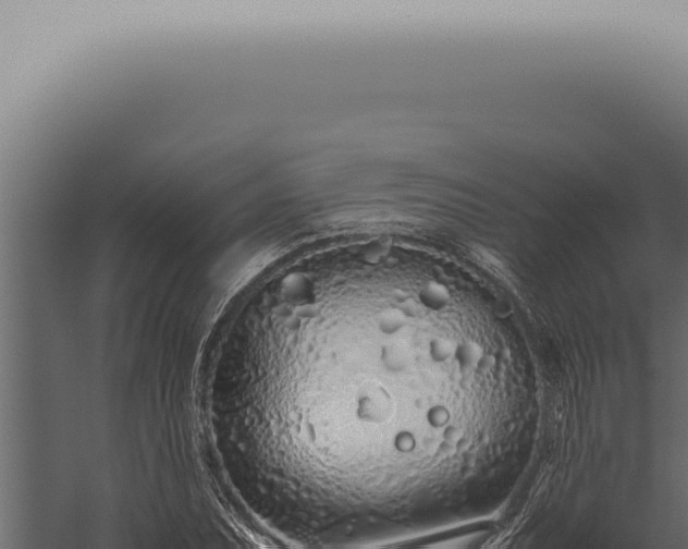 X0000059831071200510281752