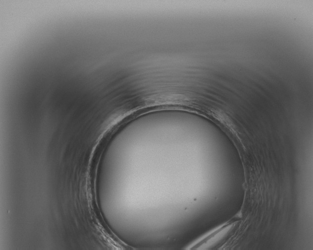 X0000059831072200510281751