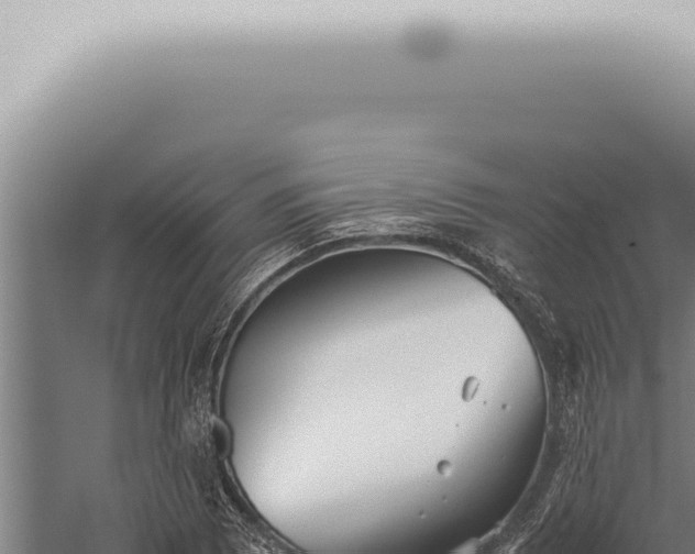 X0000059831073200510281751