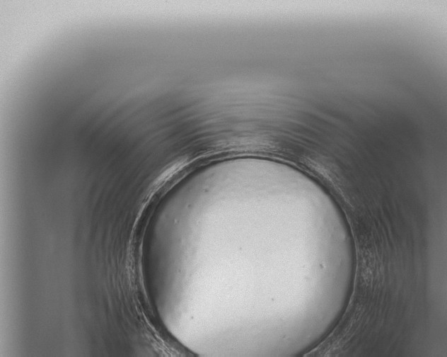 X0000059831074200510281751