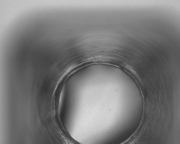 X0000059831075200510281751