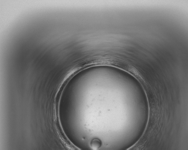 X0000059831079200510281751