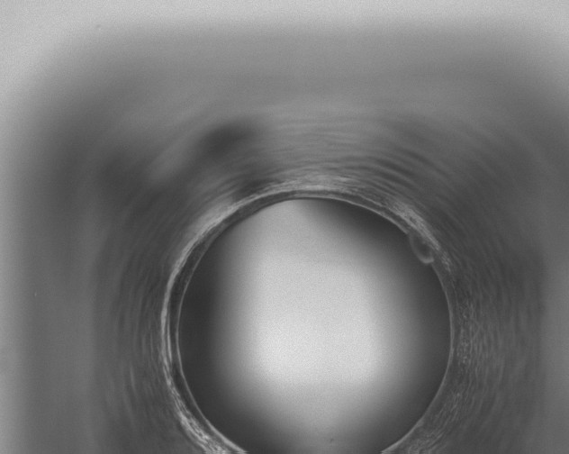 X0000059831080200510281751