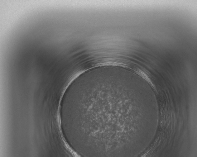 X0000059831084200510281751