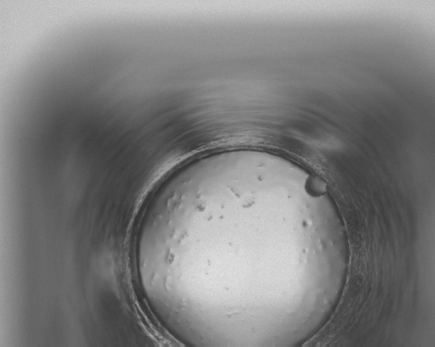 X0000059831086200510281751