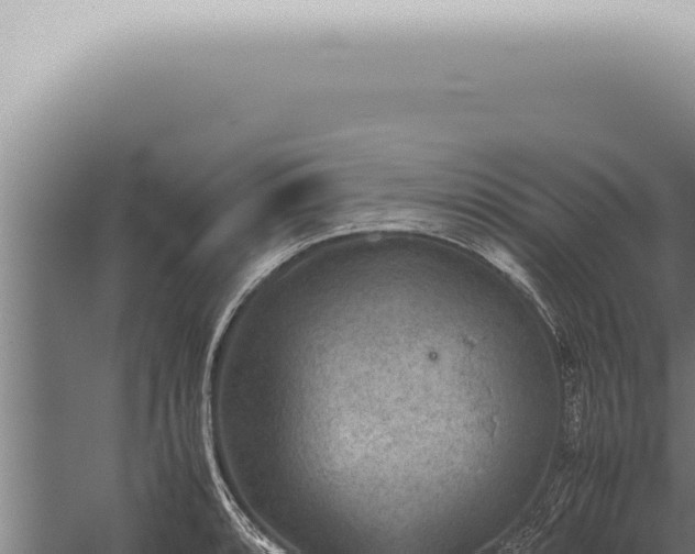 X0000059831088200510281751