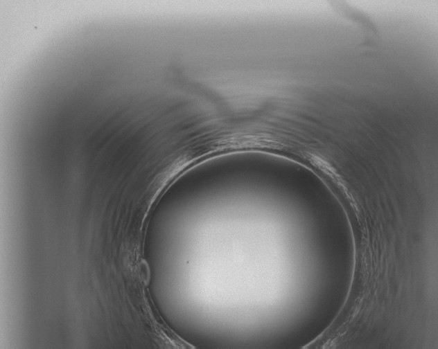 X0000059831089200510281751