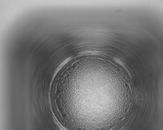 X0000059831090200510281751