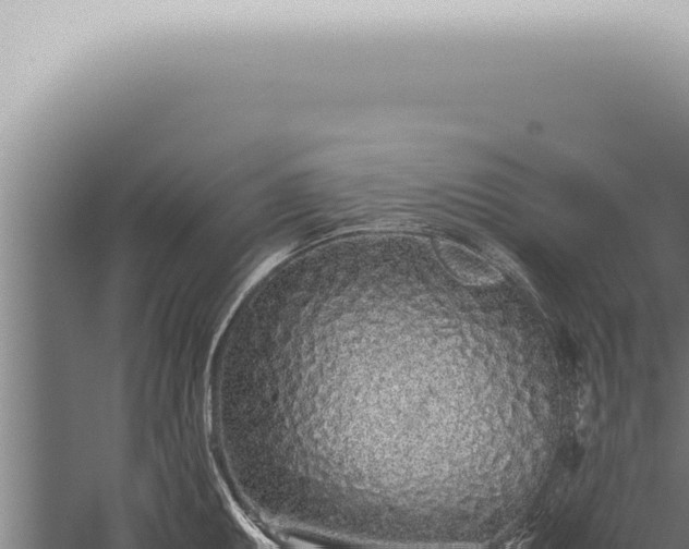 X0000059831095200510281751