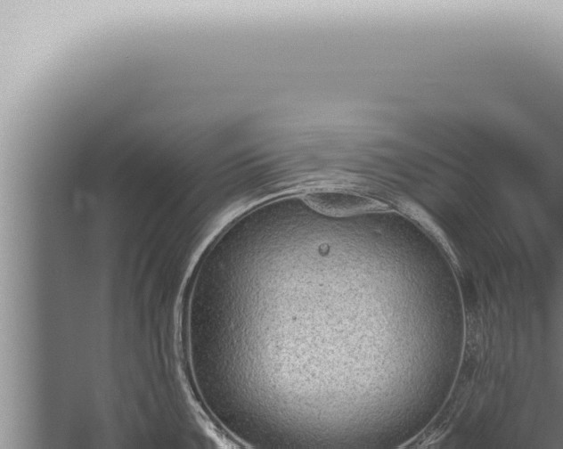 X0000059831099200510281751