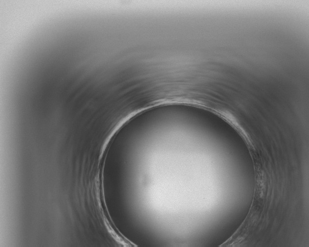 X0000059831100200510281751