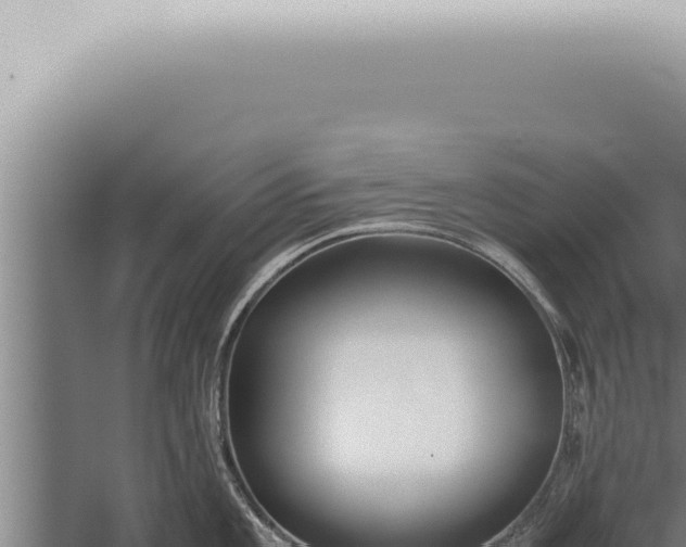 X0000059831101200510281751