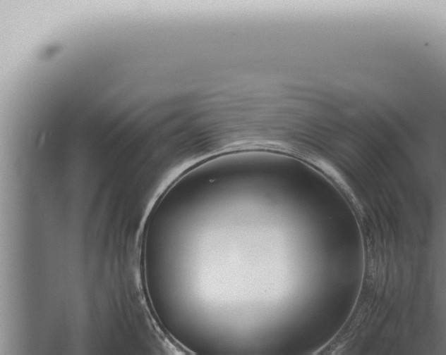 X0000059831102200510281751