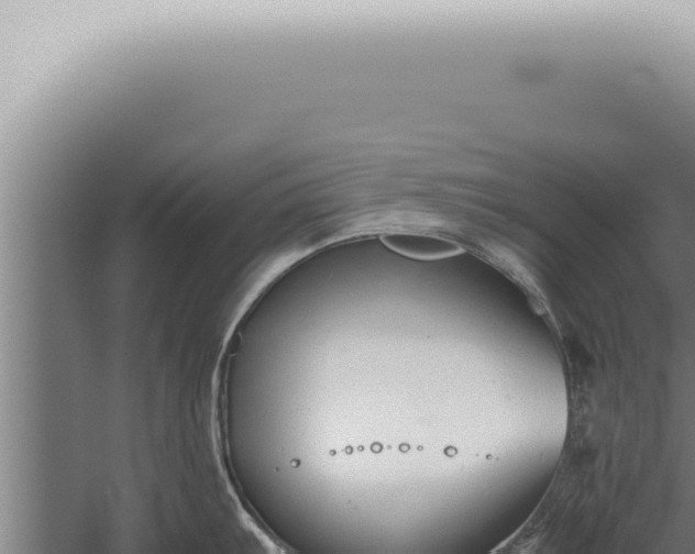 X0000059831103200510281751