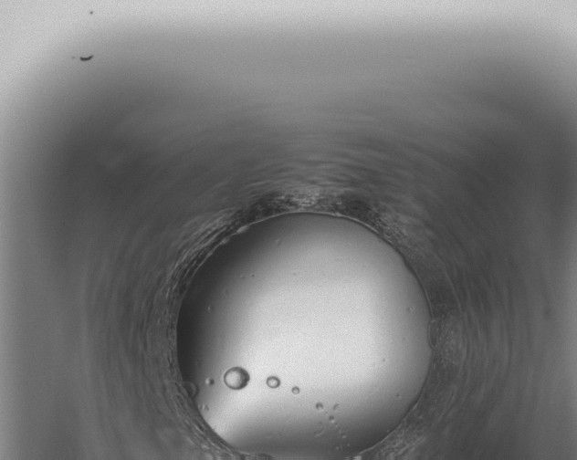 X0000059831105200510281750