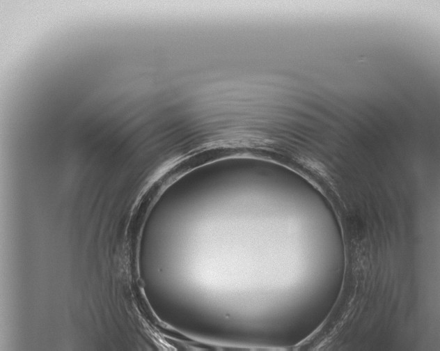 X0000059831114200510281750