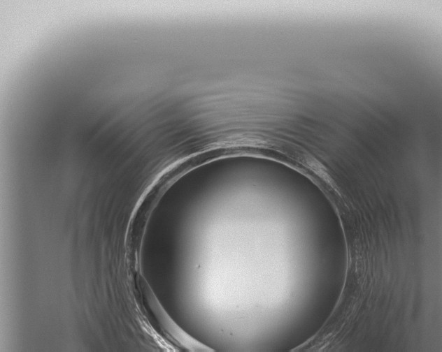 X0000059831116200510281750