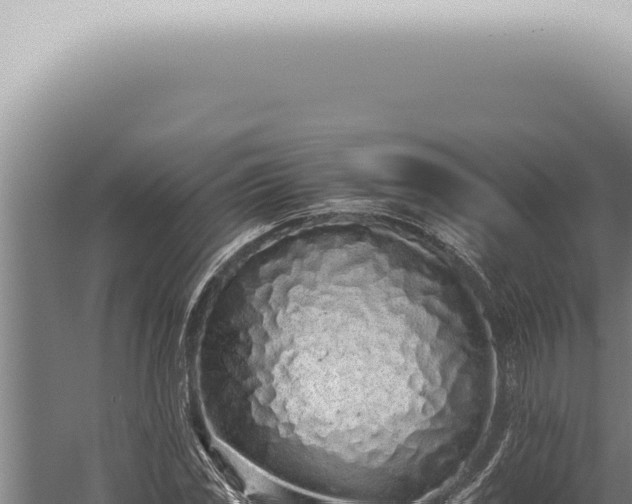 X0000059831117200510281750