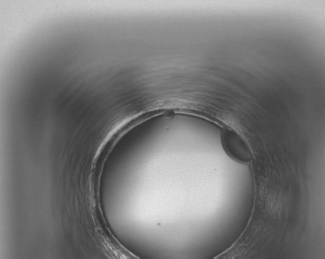 X0000059831120200510281750