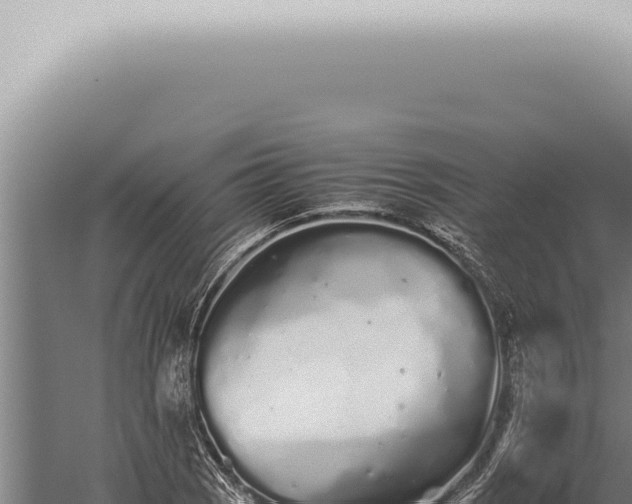 X0000059831121200510281750