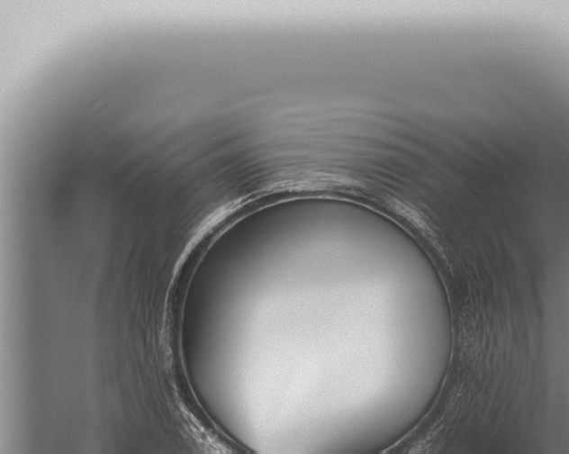 X0000059831122200510281750