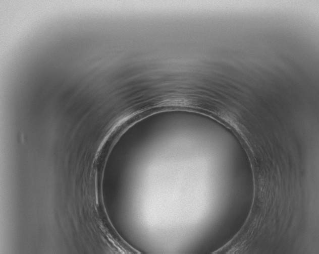 X0000059831123200510281750