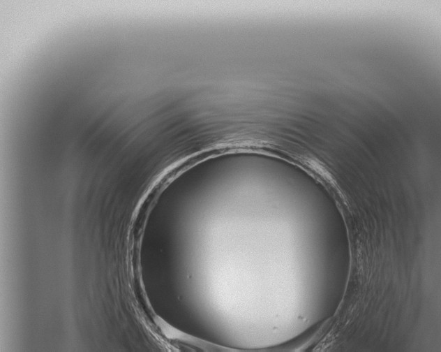 X0000059831124200510281750