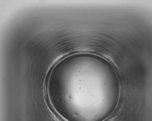 X0000059831125200510281750