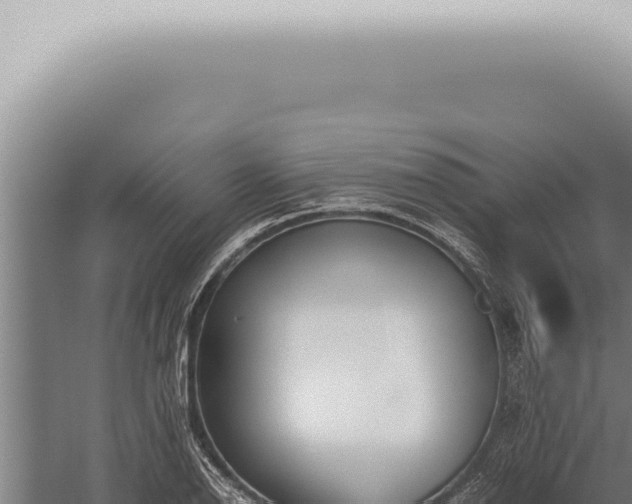 X0000059831126200510281750