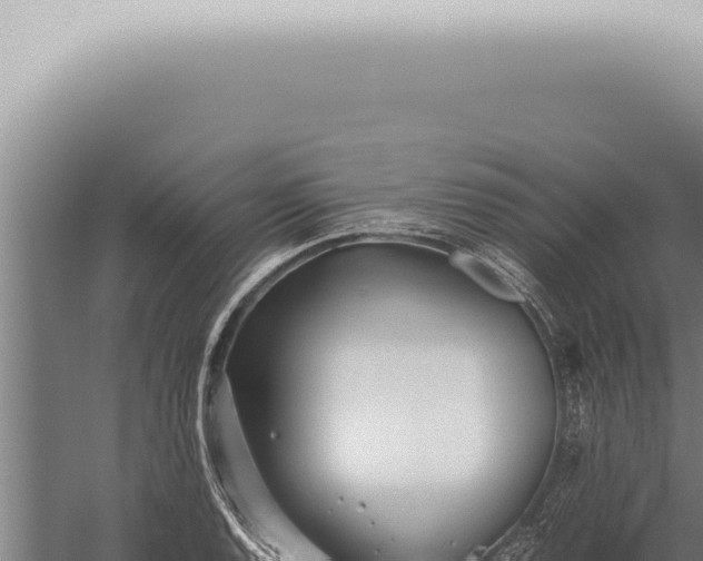 X0000059831128200510281751