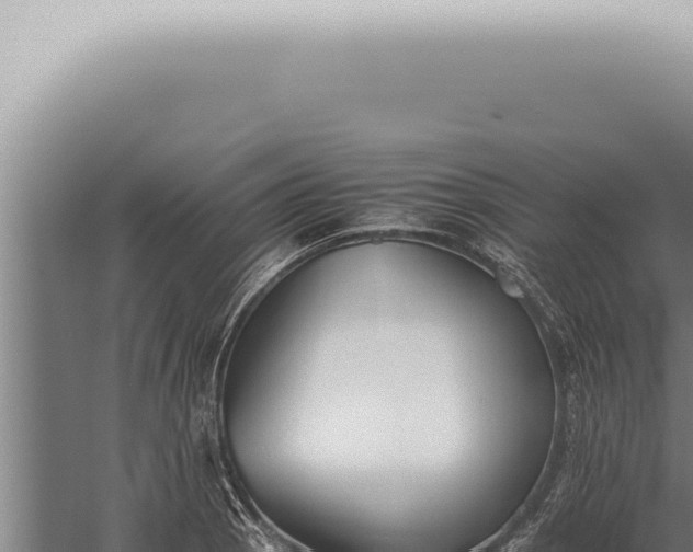 X0000059831129200510281751