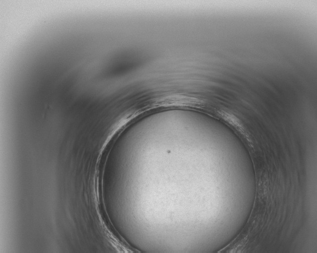 X0000059831130200510281751