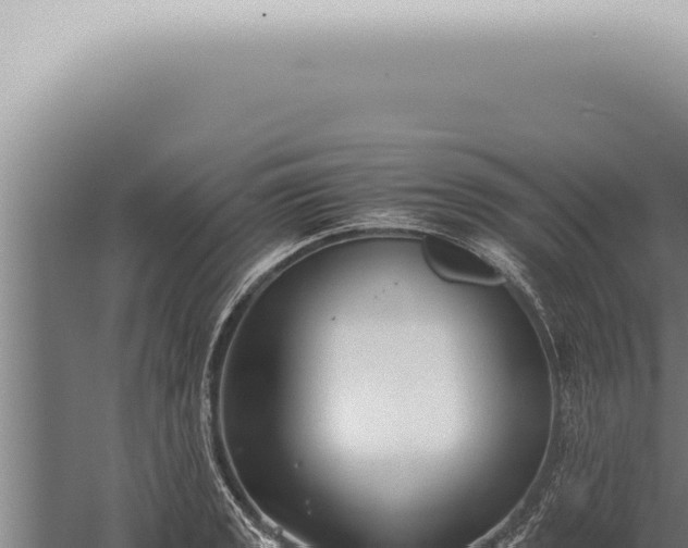 X0000059831133200510281751