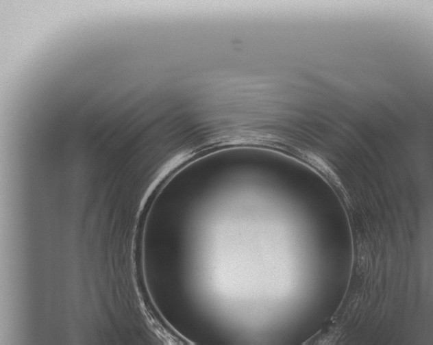 X0000059831138200510281751