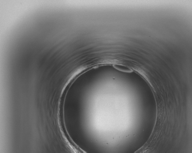 X0000059831139200510281751