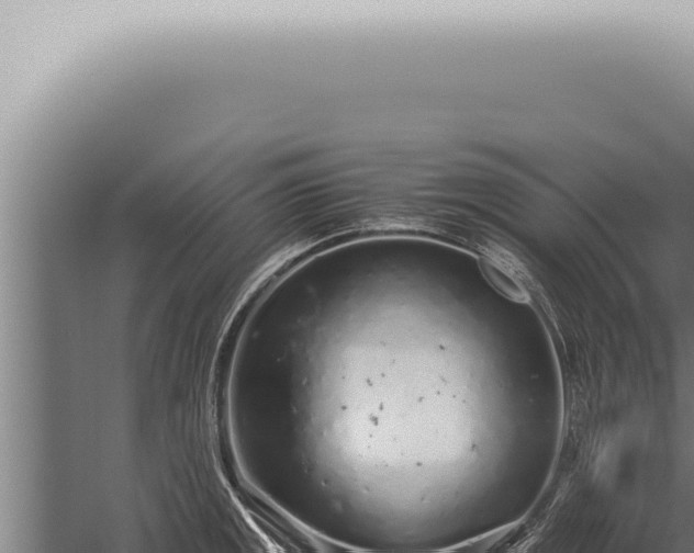 X0000059831141200510281751