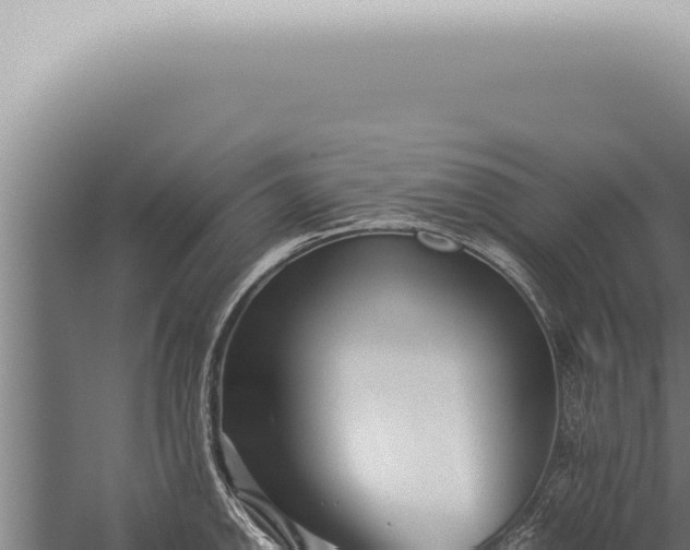 X0000059831142200510281751